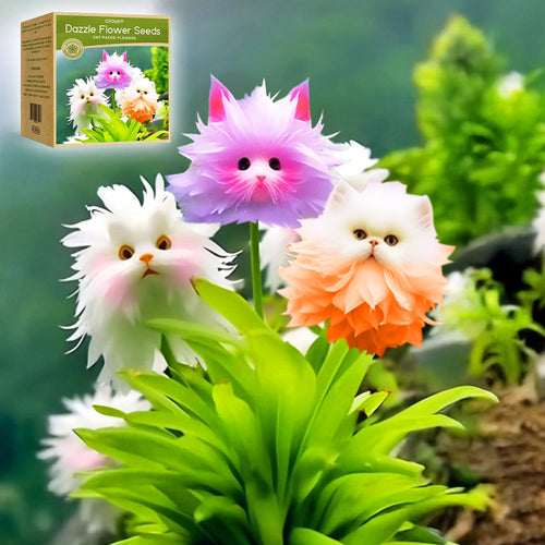 🌺🦩GFOUK® Charming Blossom Seeds