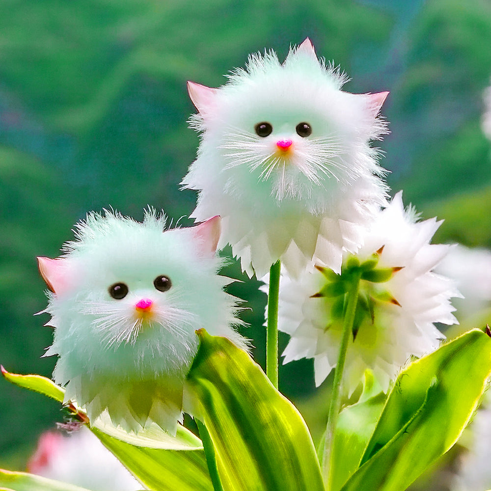 🌺🦩GFOUK® Charming Blossom Seeds