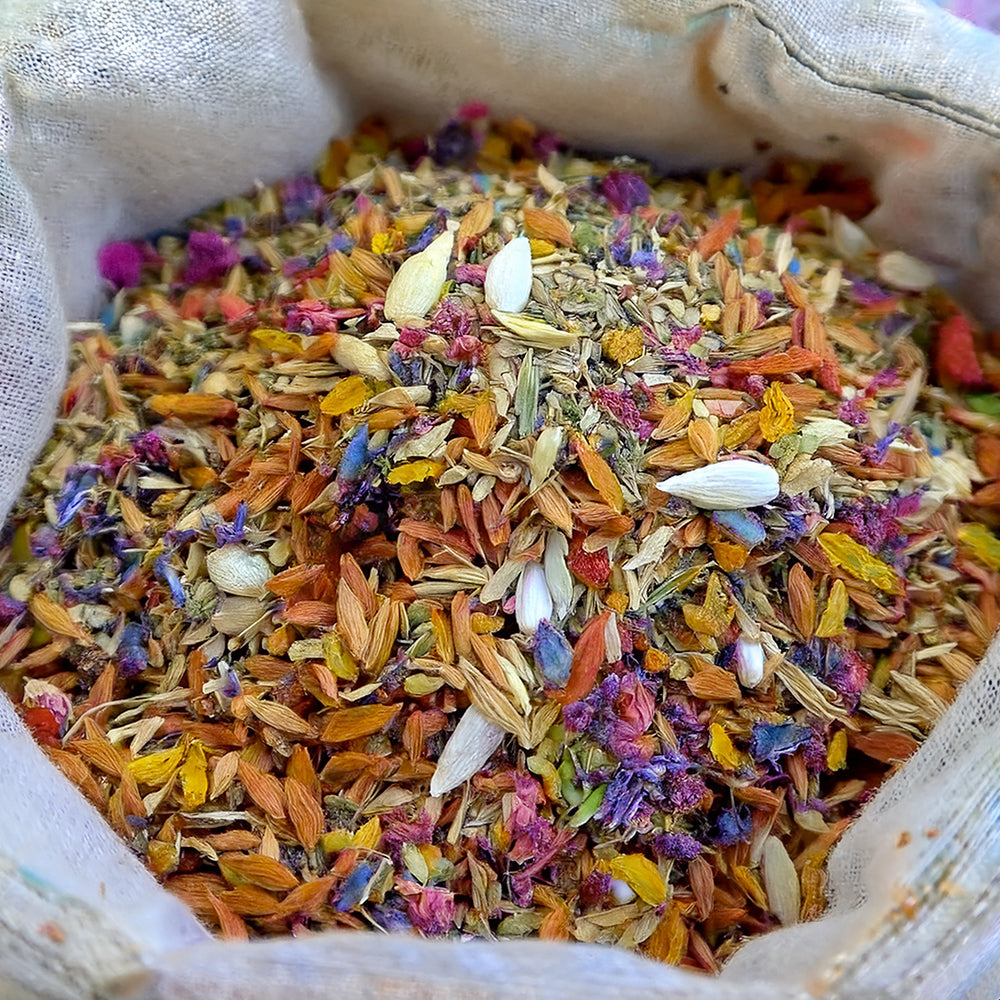 🌺🦩GFOUK® Charming Blossom Seeds