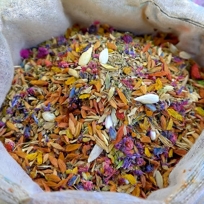 🌺🦩GFOUK® Charming Blossom Seeds